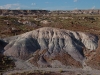 Petrified Forest